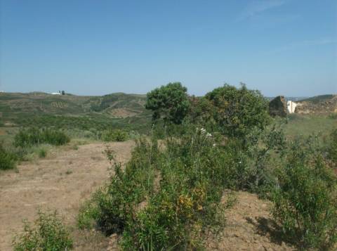 Terreno Misto com 99.760m2