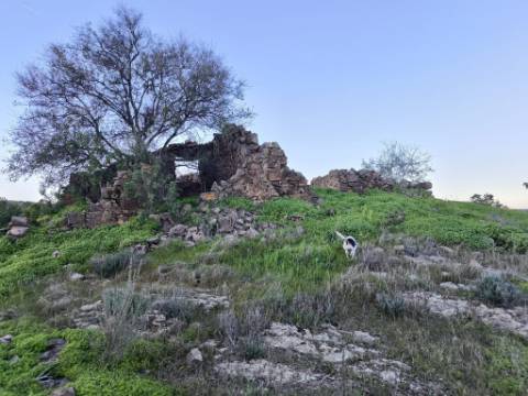 TERRENO MISTO COM 99.760 M² - COM RUÍNA - POÇOS - CONSTRUÇÃO DE HABITAÇÃO E OU TURISMO RURAL - VALE ANDREU - CASTRO MARIM - ALGARVE