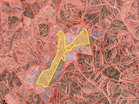 TERRENO MISTO COM 99.760 M² - COM RUÍNA - POÇOS - CONSTRUÇÃO DE HABITAÇÃO E OU TURISMO RURAL - VALE ANDREU - CASTRO MARIM - ALGARVE