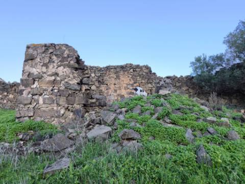 TERRENO MISTO COM 99.760 M² - COM RUÍNA - POÇOS - CONSTRUÇÃO DE HABITAÇÃO E OU TURISMO RURAL - VALE ANDREU - CASTRO MARIM - ALGARVE