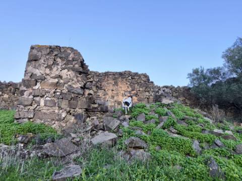 TERRENO MISTO COM 99.760 M² - COM RUÍNA - POÇOS - CONSTRUÇÃO DE HABITAÇÃO E OU TURISMO RURAL - VALE ANDREU - CASTRO MARIM - ALGARVE
