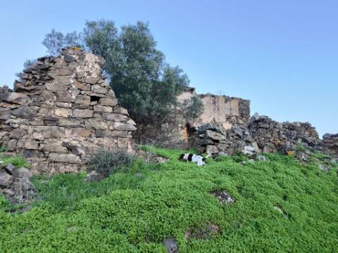 TERRENO MISTO COM 99.760 M² - COM RUÍNA - POÇOS - CONSTRUÇÃO DE HABITAÇÃO E OU TURISMO RURAL - VALE ANDREU - CASTRO MARIM - ALGARVE