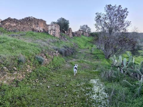 TERRENO MISTO COM 99.760 M² - COM RUÍNA - POÇOS - CONSTRUÇÃO DE HABITAÇÃO E OU TURISMO RURAL - VALE ANDREU - CASTRO MARIM - ALGARVE
