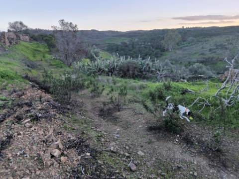 TERRENO MISTO COM 99.760 M² - COM RUÍNA - POÇOS - CONSTRUÇÃO DE HABITAÇÃO E OU TURISMO RURAL - VALE ANDREU - CASTRO MARIM - ALGARVE