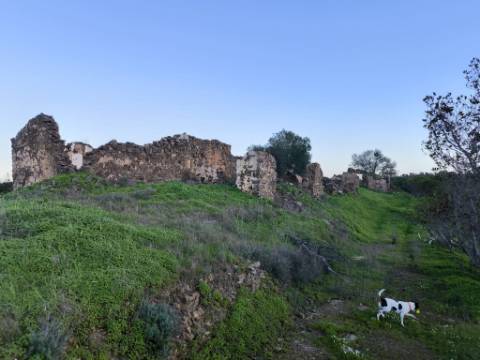 TERRENO MISTO COM 99.760 M² - COM RUÍNA - POÇOS - CONSTRUÇÃO DE HABITAÇÃO E OU TURISMO RURAL - VALE ANDREU - CASTRO MARIM - ALGARVE