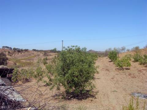 Terreno rustico situado em Corujos, Azinhal.