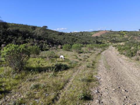 TERRENO COM 51.360 M2 - COM POSSIBILIDADE DE CONSTRUÇÃO - TURISMO - CASA DO AGRICULTOR - EM CASTRO MARIM - ALGARVE