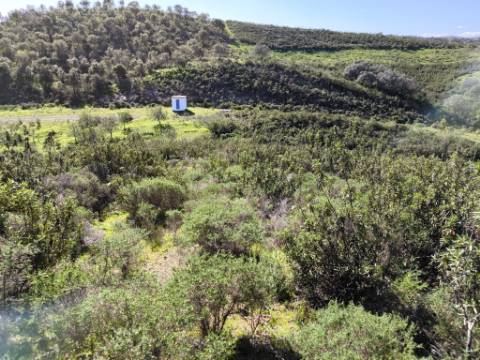 TERRENO COM 51.360 M2 - COM POSSIBILIDADE DE CONSTRUÇÃO - TURISMO - CASA DO AGRICULTOR - EM CASTRO MARIM - ALGARVE