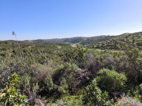 TERRENO COM 51.360 M2 - COM POSSIBILIDADE DE CONSTRUÇÃO - TURISMO - CASA DO AGRICULTOR - EM CASTRO MARIM - ALGARVE