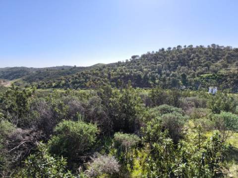 TERRENO COM 51.360 M2 - COM POSSIBILIDADE DE CONSTRUÇÃO - TURISMO - CASA DO AGRICULTOR - EM CASTRO MARIM - ALGARVE