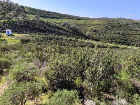 TERRENO COM 51.360 M2 - COM POSSIBILIDADE DE CONSTRUÇÃO - TURISMO - CASA DO AGRICULTOR - EM CASTRO MARIM - ALGARVE