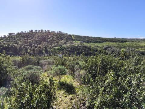 TERRENO COM 51.360 M2 - COM POSSIBILIDADE DE CONSTRUÇÃO - TURISMO - CASA DO AGRICULTOR - EM CASTRO MARIM - ALGARVE