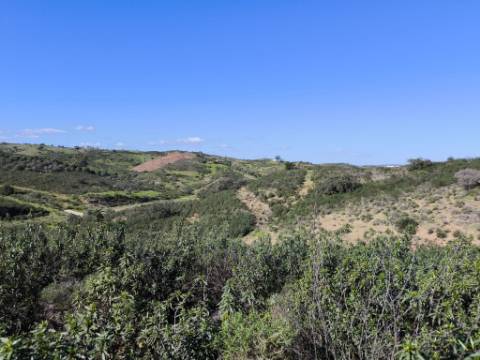 TERRENO COM 51.360 M2 - COM POSSIBILIDADE DE CONSTRUÇÃO - TURISMO - CASA DO AGRICULTOR - EM CASTRO MARIM - ALGARVE