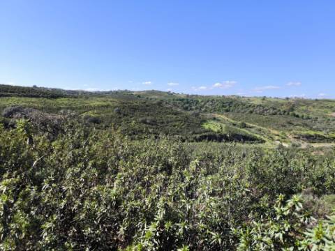 TERRENO COM 51.360 M2 - COM POSSIBILIDADE DE CONSTRUÇÃO - TURISMO - CASA DO AGRICULTOR - EM CASTRO MARIM - ALGARVE