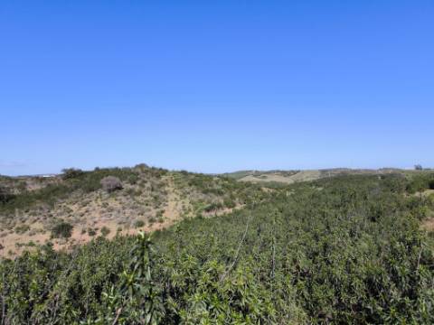 TERRENO COM 51.360 M2 - COM POSSIBILIDADE DE CONSTRUÇÃO - TURISMO - CASA DO AGRICULTOR - EM CASTRO MARIM - ALGARVE