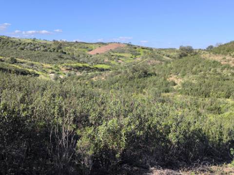 TERRENO COM 51.360 M2 - COM POSSIBILIDADE DE CONSTRUÇÃO - TURISMO - CASA DO AGRICULTOR - EM CASTRO MARIM - ALGARVE
