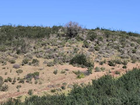 TERRENO COM 51.360 M2 - COM POSSIBILIDADE DE CONSTRUÇÃO - TURISMO - CASA DO AGRICULTOR - EM CASTRO MARIM - ALGARVE