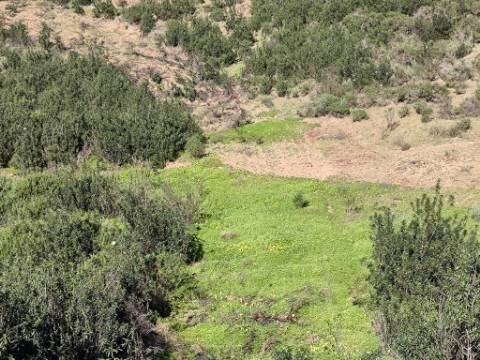 TERRENO COM 51.360 M2 - COM POSSIBILIDADE DE CONSTRUÇÃO - TURISMO - CASA DO AGRICULTOR - EM CASTRO MARIM - ALGARVE