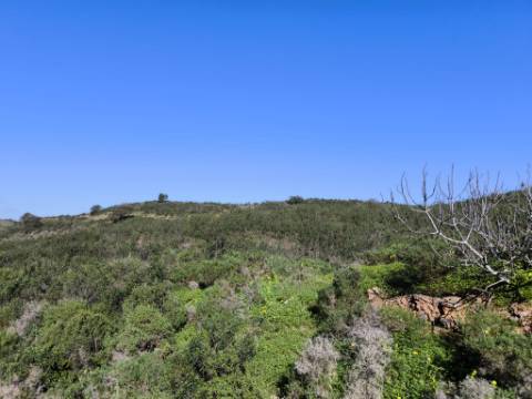 TERRENO COM 51.360 M2 - COM POSSIBILIDADE DE CONSTRUÇÃO - TURISMO - CASA DO AGRICULTOR - EM CASTRO MARIM - ALGARVE