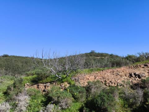 TERRENO COM 51.360 M2 - COM POSSIBILIDADE DE CONSTRUÇÃO - TURISMO - CASA DO AGRICULTOR - EM CASTRO MARIM - ALGARVE