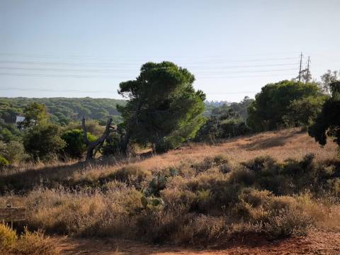 TERRENO COM 1.320 M2 - A POUCOS MINUTOS DA PRAIA - AZEDA - SÃO BARTOLOMEU DO SUL - CASTRO MARIM - ALGARVE