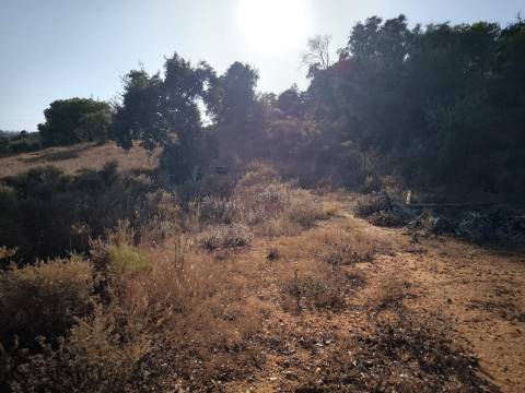 TERRENO COM 1.320 M2 - A POUCOS MINUTOS DA PRAIA - AZEDA - SÃO BARTOLOMEU DO SUL - CASTRO MARIM - ALGARVE