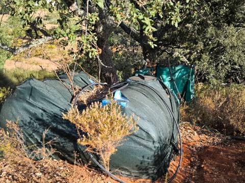 TERRENO COM 1.320 M2 - A POUCOS MINUTOS DA PRAIA - AZEDA - SÃO BARTOLOMEU DO SUL - CASTRO MARIM - ALGARVE