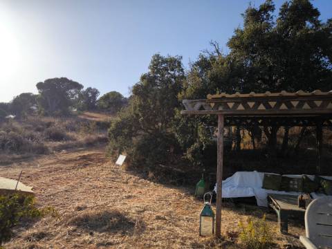 TERRENO COM 1.320 M2 - A POUCOS MINUTOS DA PRAIA - AZEDA - SÃO BARTOLOMEU DO SUL - CASTRO MARIM - ALGARVE