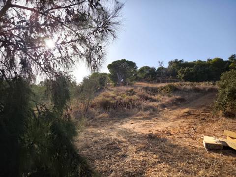 TERRENO COM 1.320 M2 - A POUCOS MINUTOS DA PRAIA - AZEDA - SÃO BARTOLOMEU DO SUL - CASTRO MARIM - ALGARVE