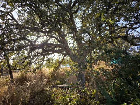 TERRENO COM 1.320 M2 - A POUCOS MINUTOS DA PRAIA - AZEDA - SÃO BARTOLOMEU DO SUL - CASTRO MARIM - ALGARVE
