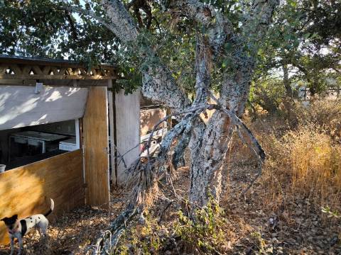 TERRENO COM 1.320 M2 - A POUCOS MINUTOS DA PRAIA - AZEDA - SÃO BARTOLOMEU DO SUL - CASTRO MARIM - ALGARVE