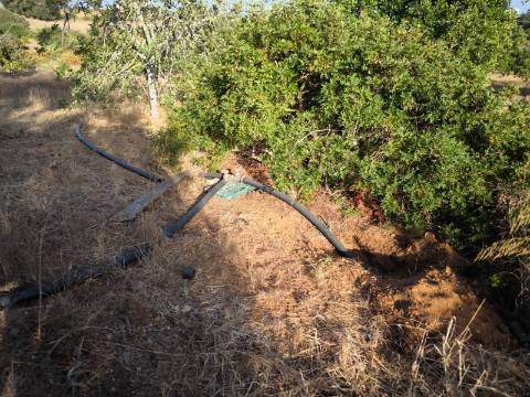 TERRENO COM 1.320 M2 - A POUCOS MINUTOS DA PRAIA - AZEDA - SÃO BARTOLOMEU DO SUL - CASTRO MARIM - ALGARVE