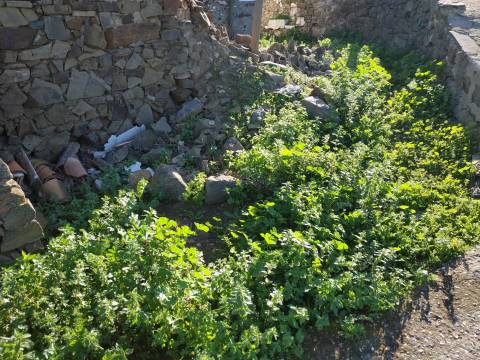 MORADIAS - TRÊS PREDIOS URBANOS PARA HABITAÇÃO - COM PROJECTO APROVADO - PARA RECONSTRUIR - ALCARIAS GRANDES - CASTRO MARIM - ALGARVE