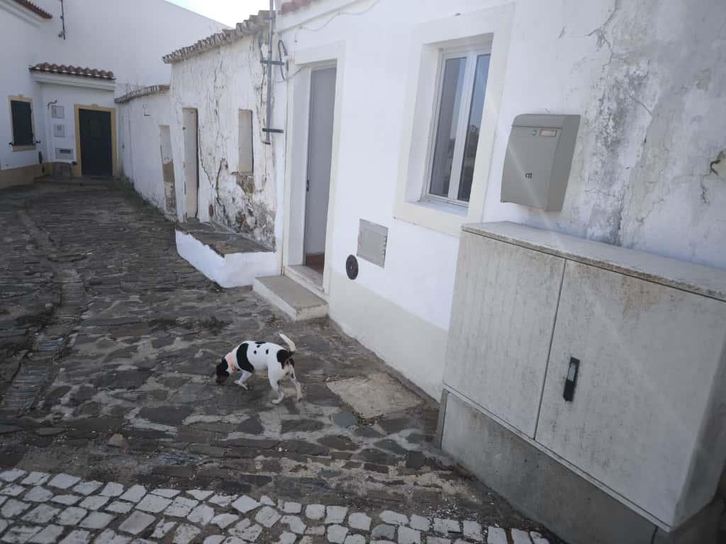 MORADIA PARA ARRENDAMENTO ANUAL - AZINHAL - CASTRO MARIM - ALGARVE