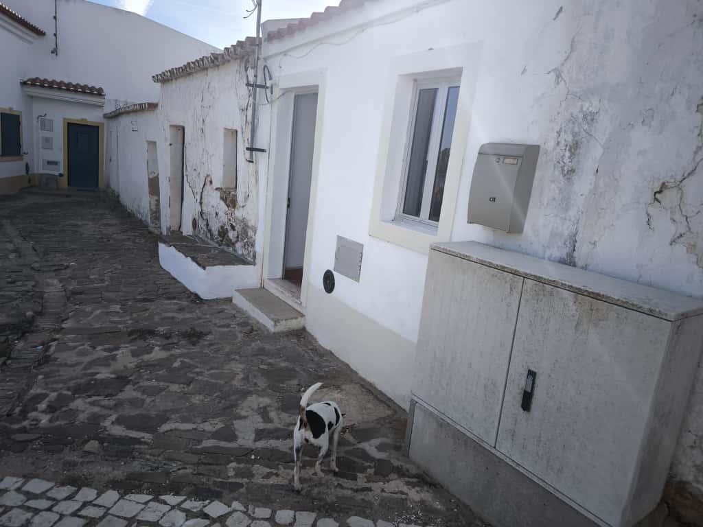 MORADIA PARA ARRENDAMENTO ANUAL - AZINHAL - CASTRO MARIM - ALGARVE