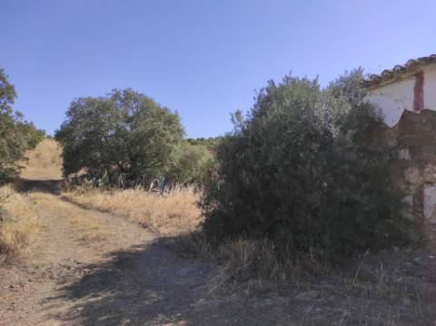 MORADIA EM RUINA COM JARDIM - COM 233 M2 - EM BOTELHAS - CASTRO MARIM - ALGARVE