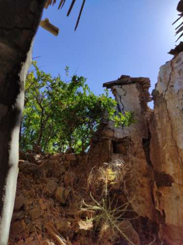 MORADIA EM RUINA COM JARDIM - COM 233 M2 - EM BOTELHAS - CASTRO MARIM - ALGARVE