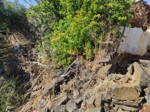 MORADIA EM RUINA COM JARDIM - COM 233 M2 - EM BOTELHAS - CASTRO MARIM - ALGARVE