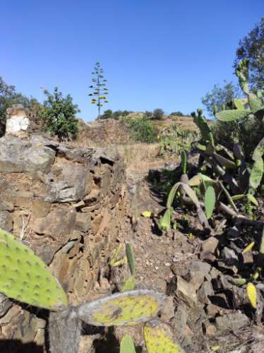 MORADIA EM RUINA COM JARDIM - COM 233 M2 - EM BOTELHAS - CASTRO MARIM - ALGARVE