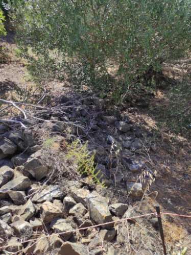 MORADIA EM RUINA COM JARDIM - COM 233 M2 - EM BOTELHAS - CASTRO MARIM - ALGARVE