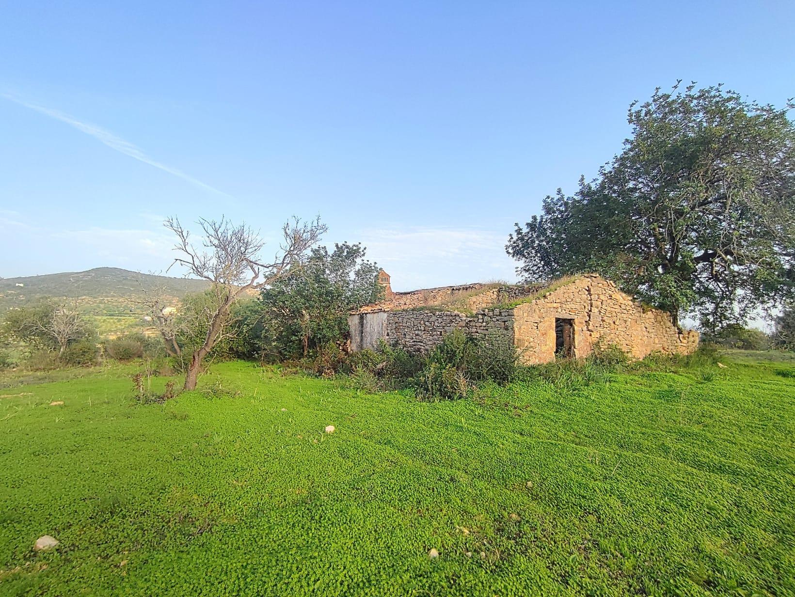 Conjunto de 6 Terrenos com 16.700 m² e Ruína Oportunidade em Estoi, Faro