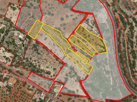 Conjunto de 6 Terrenos com 16.700 m² e Ruína Oportunidade em Estoi, Faro