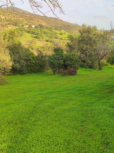 Conjunto de 6 Terrenos com 16.700 m² e Ruína Oportunidade em Estoi, Faro