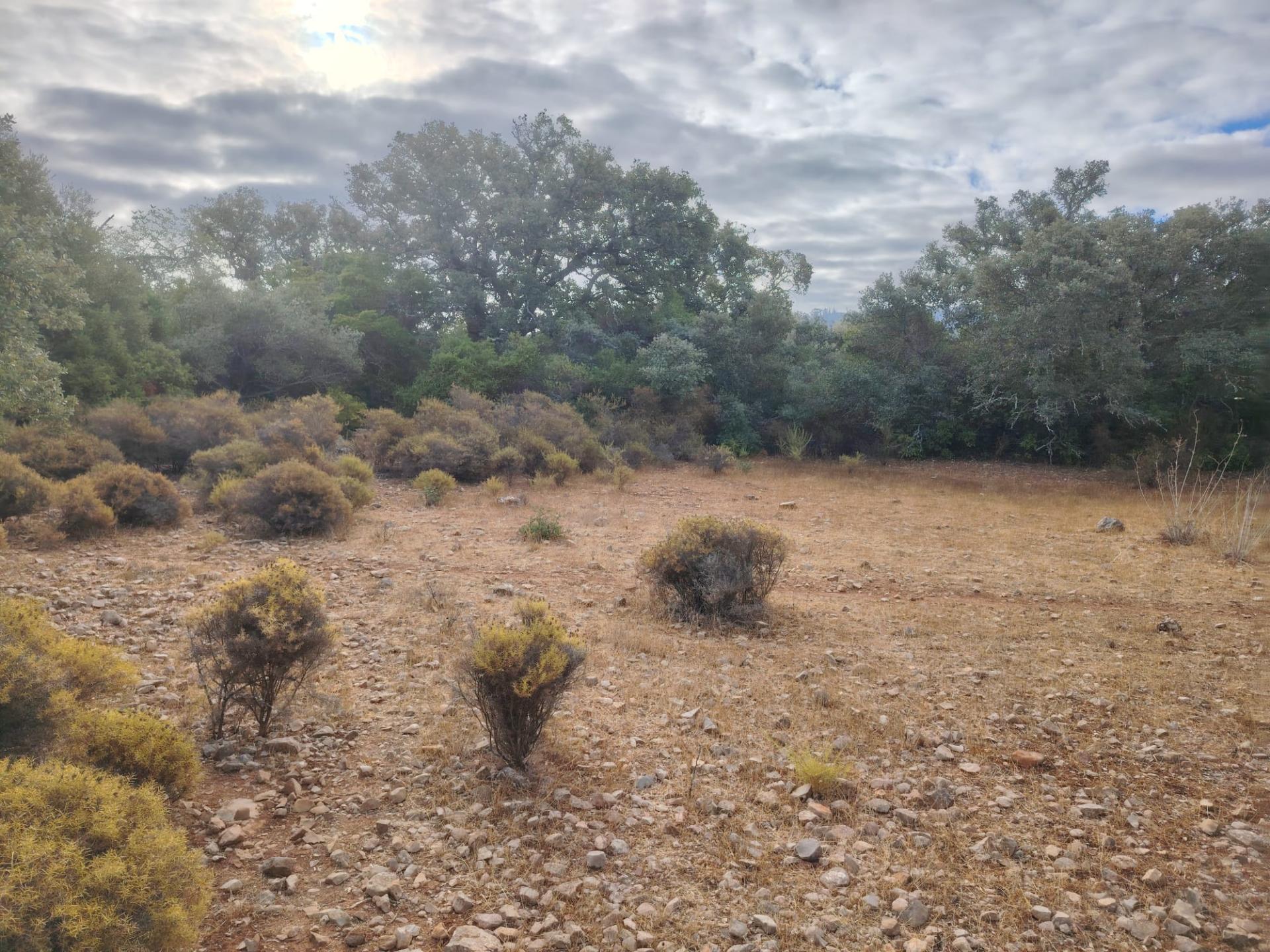 Terreno Rústico, Conceição de Faro