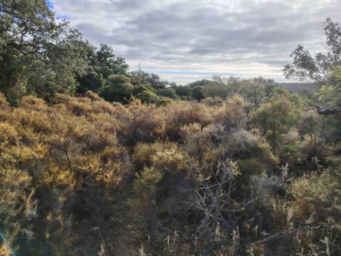 Terreno Rústico, Conceição de Faro