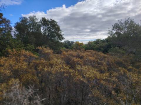 Terreno Rústico, Conceição de Faro