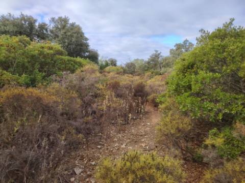 Terreno Rústico, Conceição de Faro