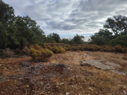 Terreno Rústico, Conceição de Faro
