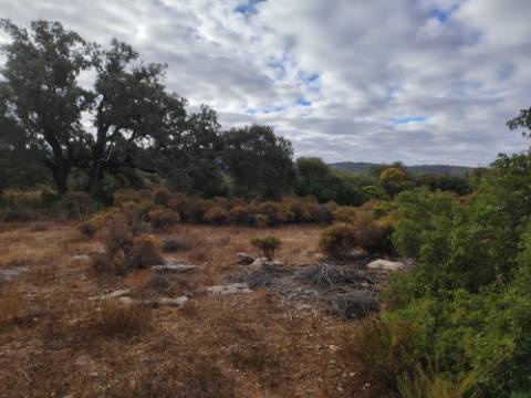 Terreno Rústico, Conceição de Faro