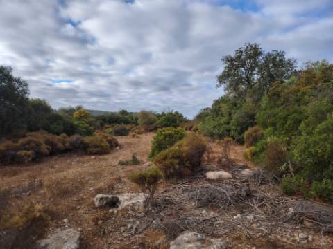 Terreno Rústico, Conceição de Faro